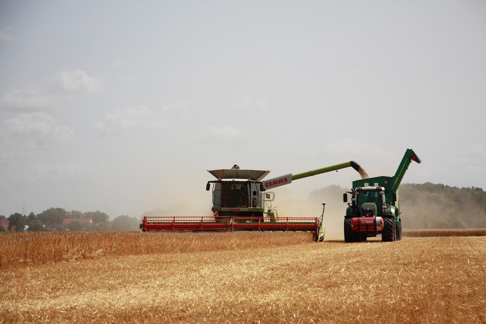Farmer checking crops